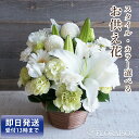 即日発送 受付13時まで お供え 花 お悔やみ 6000円 【 お彼岸 四十九日 一周忌 三回忌 お供え花 法事 花 お盆 初盆 新盆 月命日 百合 あす楽対応...