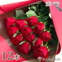 赤バラ花束 12本【 プロポーズ 12本ローズ花束 送料無料 花束 バラ花束 薔薇花束 誕生日 結婚 ...