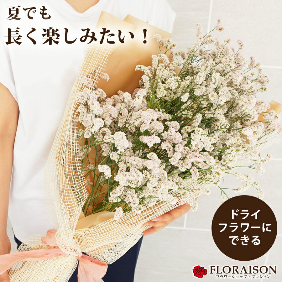 スターチスの花言葉は怖いは何故 こんなにも詩的な愛の花giftはないのに