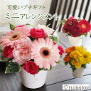 \ポイント5倍/【冷蔵便】 ミニ アレンジメント 3色から選べる 可愛い アレンジ 花 ギフト 花ギフト 誕生日ギフト 誕生日プレゼント 楽天 誕生日 女性 お父さん 送別会 記念品 プチギフト ペットお供え フラワーアレンジメント 生花