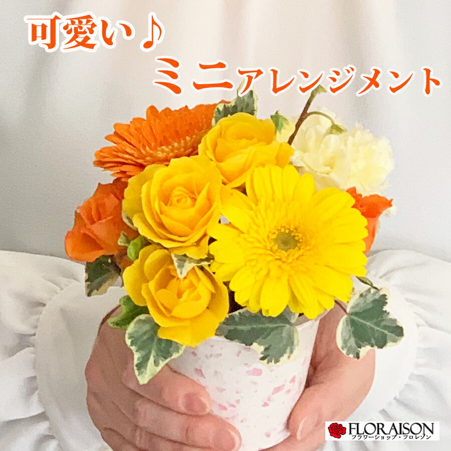 楽天花＆雑貨フロレゾン冷蔵便でお届け ミニアレンジメント ビタミン 【 誕生日 プレゼント 結婚記念日 可愛いアレンジメント ギフト 生花 送料無料 プチギフト そのまま飾れる 女友達 女の子 子供 花 生花 】