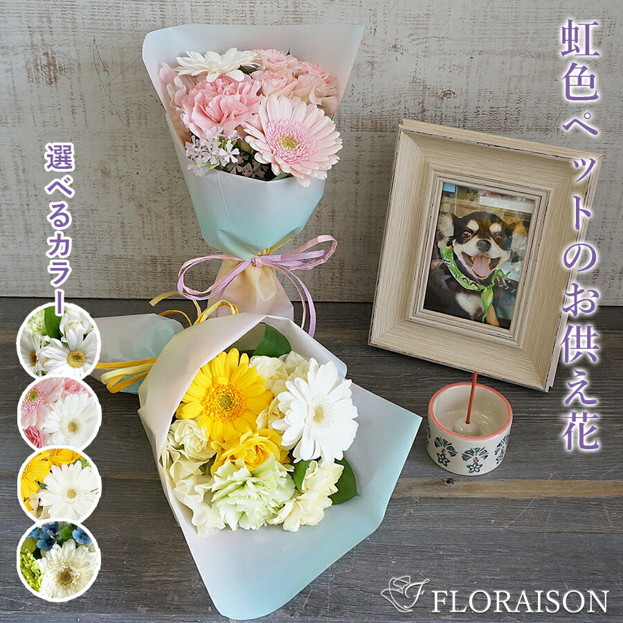 花&雑貨フロレゾン 花束（3000円程度） ペット お供え花 虹の橋 虹色 ミニブーケ 【 ペット お供え お悔やみ 花 お彼岸 即日 お盆 命日 自宅 犬 猫 花 生花 ペットお供え お悔やみ花 ドッグ pet 】