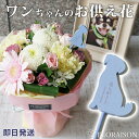 花&雑貨フロレゾン 花束 【大切な家族のワンチャンを偲ぶ】ワンチャンのピック付 ペット お供え花 スタンディングブーケ【 お供え ペット 犬 花 生花 ペット お彼岸 お悔やみ 花 即日 ゴールデンレトリバー ドッグ アレンジメント そのまま飾れる花束 pet