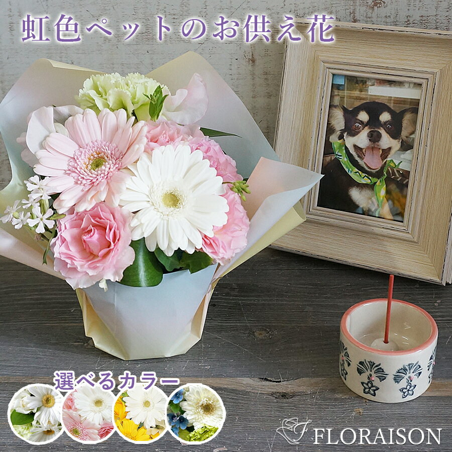 花&雑貨フロレゾン 花束（3000円程度） ペット お供え花 虹の橋 ミニ 虹色アレンジ 【 ペット お供え 花 花瓶不要 命日 お彼岸 お盆 三回忌 自宅 犬 猫 花 生花 お悔やみ そのまま飾れる花束 pet 】