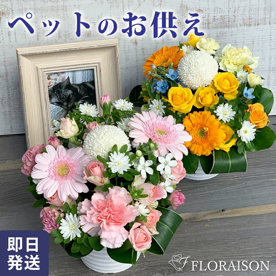 冷蔵便でお届け【可愛いペットへありがとう】ペット お供え 花 アレンジメント 4000円【 お彼岸 お盆 ペット お供え 花 即日 フラワーアレンジメント ペットロス 癒しのアレンジメント 犬 ネコ 花 生花 お悔やみ 花 即日 ドッグ 犬 一周忌 花 pet