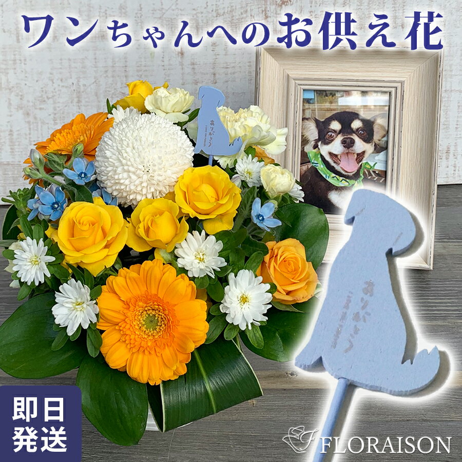 冷蔵便でお届け【愛犬のお悔やみに】ペット お供え花 アレンジメント 犬 ピック付 【 お彼岸 お供え アレンジメント ペット 犬 花 生花 ペットお供え ペット お悔やみ 花 即日 ゴールデンレトリバー ドッグ pet