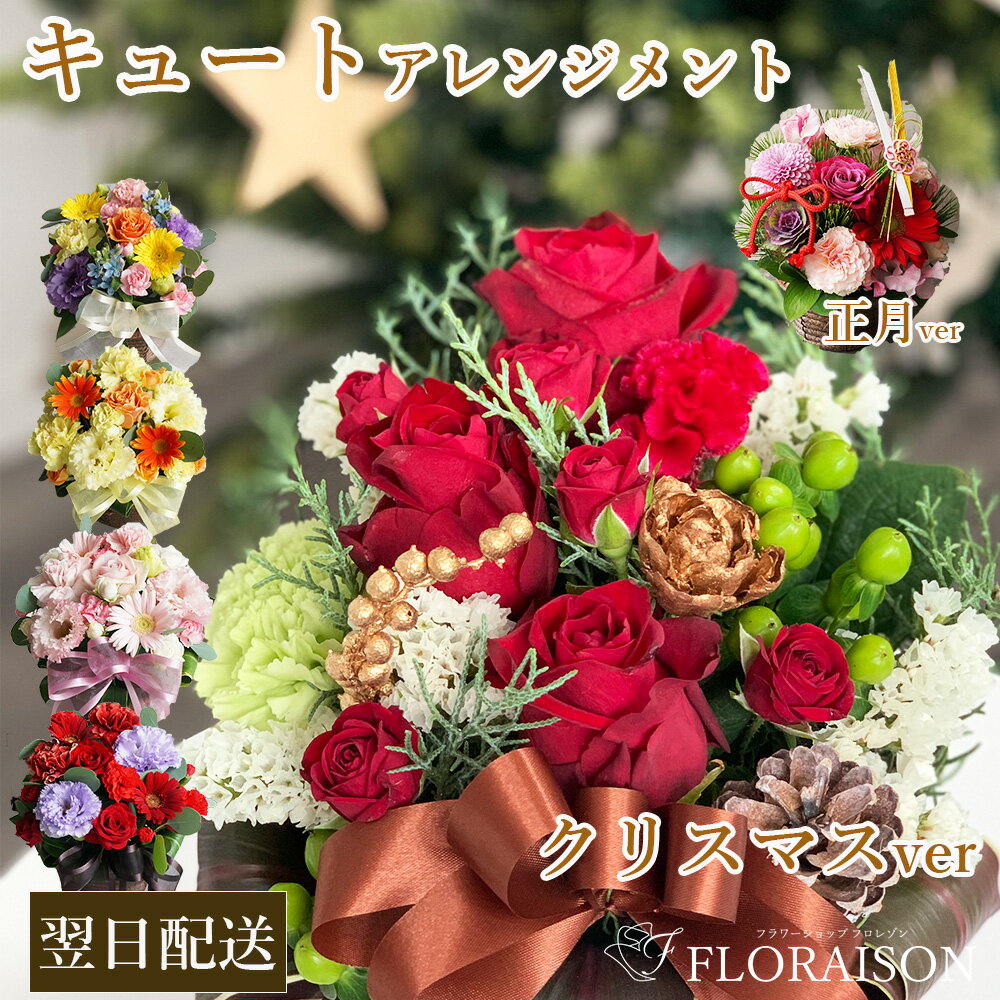 新【即日発送受付13時迄】 キュート