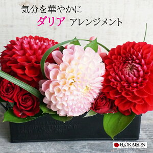 ダリア アレンジメントS 【 2月 誕生日 プレゼント 花 結婚記念日 ダリア バラ アレンジメント 薔薇 花 ギフト 送料無料 フラワーギフト】