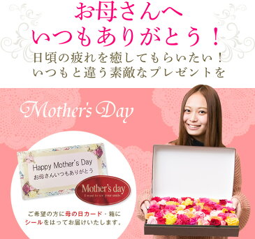 ローズバス バラ風呂 香りの高級ローズバス【母の日 誕生日 結婚記念日 人気薔薇ギフト 薔薇 バラ 花 生花 プレゼント ギフト フラワーバス バラ風呂セット 高級ローズバス】