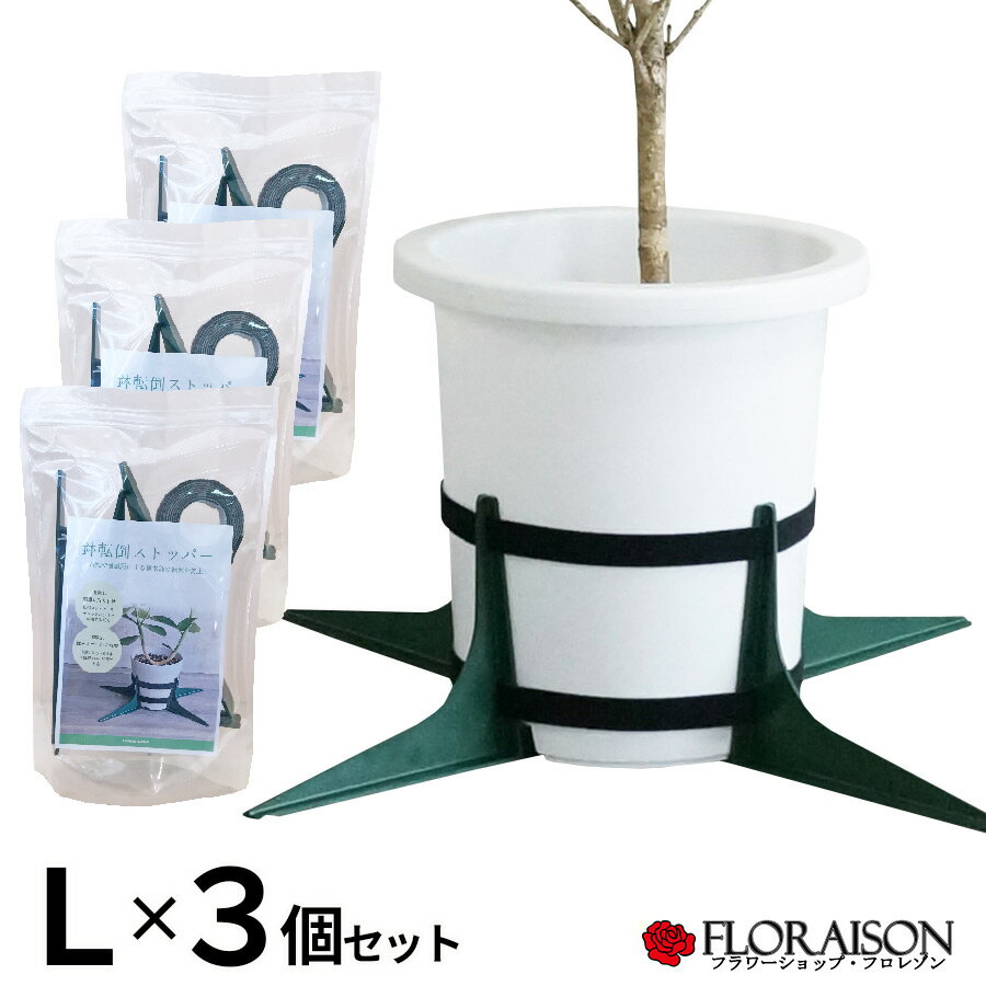 多肉植物寄せ植えに最適！ペイント缶(L)【LJ-POC】缶のみ当店オリジナル