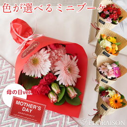 ミニブーケ 母の日 ミニブーケ 花束 【 母の日 花束 ブーケ 入学式 先生 プチギフト 4月 誕生日 誕生日プレゼント ははの日 女友達 ギフト 誕生日 送別会 フラワー ピアノ発表会 歓迎会 記念品 かわいい 小さな花束 ミニ花束 可愛い プチギフト 生花 花