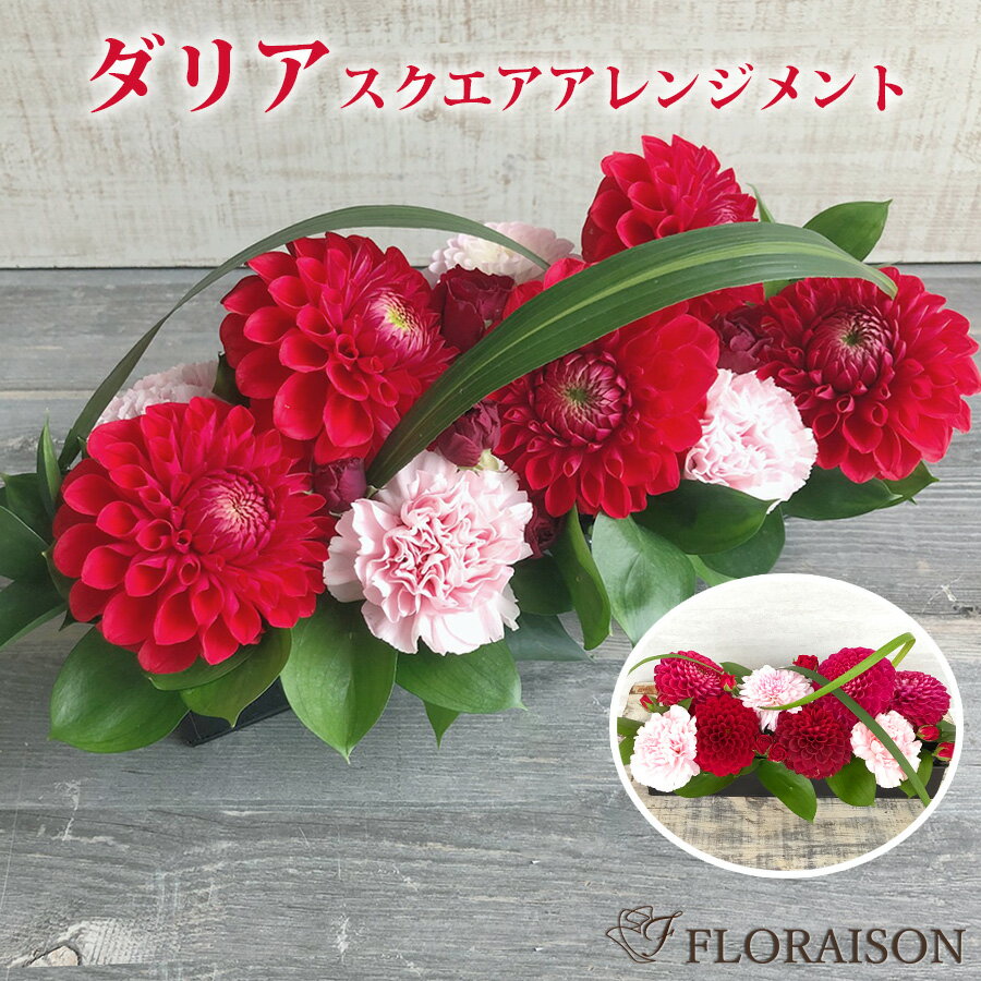 冷蔵便でお届け ダリア スクエアアレンジメント 【 誕生日 結婚記念日 プレゼント 女性 バラ 薔薇 華やか ギフト おしゃれ フラワーアレンジメント 花 送料無料 そのまま飾れる 花 ギフト 生花 】