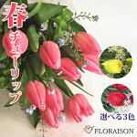 チューリップの花束ちゅーりっぷ赤ピンク黄ブーケ送料無料