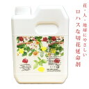 ロハスな花の鮮度保持剤新・フローレンスウォーター 延命剤 1リットル 切花延命剤