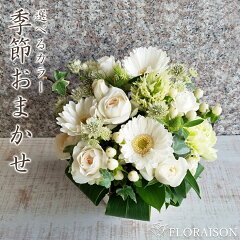 https://thumbnail.image.rakuten.co.jp/@0_mall/la-floraison/cabinet/omakase/4ar/om-4ar-kg.jpg