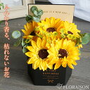 ひまわりギフト ソープフラワー シャボン ひまわり 六角 BOX S 母の日 ギフト 誕生日 枯れない 花 プレゼント 花ピアノ発表会 結婚記念日 結婚祝い プ...