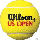 【送料無料】【よりどり3個以上で各200円引き】Wilson（ウイルソン）USオープン ジャンボ ボ ...