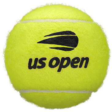 【4500円均一】Wilson（ウイルソン）US オープン・エクストラ・デューティ テニス ボール1缶2球入×6缶WRT1000J-6SET【定番】