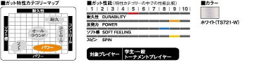 【よりどり3個で送料無料】GOSEN(ゴーセン)UMISHIMA AK CONTROL17テニス ガット ストリングスホワイトTS721-W