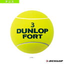 楽天La foresta d’Italia【送料無料】【3500円均一】【よりどり3個以上で各200円引き】DUNLOP（ダンロップ）FORT ジャンボ ボールTAC8200-303【定番】【卒業】