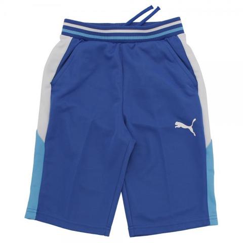 La foresta d’Italia 通販