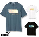 【送料無料】【廃番】puma(プーマ) メンズ 半袖 Tシャツ カジュアル PUMA POWER サマー Tシャツ ティーシャツコットン Tシャツ 普段着 カジュアル S M L XL ブラック ホワイト ブルー 671721【23☆】