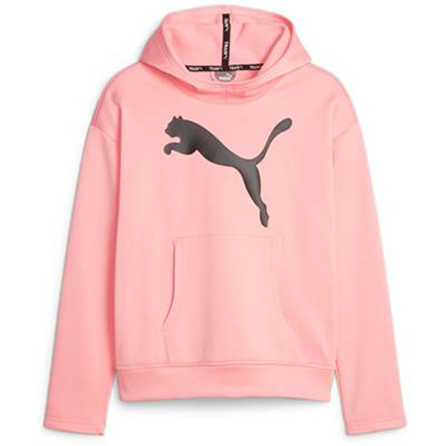【送料無料】【4500円均一 Lサイズのみ】【廃番追メル】puma（プーマ）スポーツ ウェア スウェットパー..
