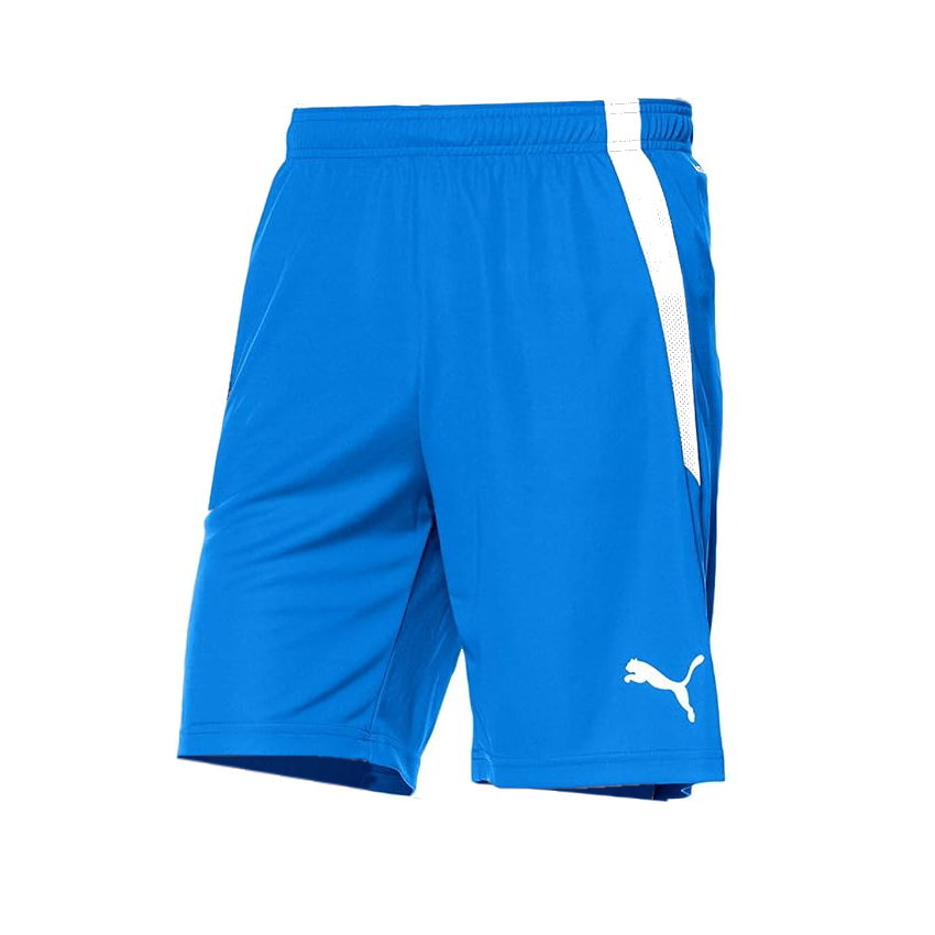 La foresta d’Italiaの【送料無料】puma（プーマ）メンズ 吸汗速乾 TEAMLIGA ゲームパンツ [ハーフパンツ/ズボン/パンツ/メンズサイズ/サッカー/フットサル/部活/クラブ/チーム]　ショートパンツ　705151　【定番】｜アングル2