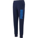【送料無料】【3000円均一 Mサイズのみ】【廃番メル】puma(プーマ) メンズ ユニセックス KA MENS グラフィック スウェットパンツ ピーコート 8...