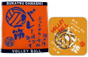 【送料無料】部活魂 BUKATSU DAMASHIIインクジェット ミニタオルジャガード織 ハンドタオル2枚セットバレーボール(オレンジ)6412-6532-OR-SET【定番】●●