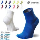 【送料無料】【まとめ買いがお得!】【定番】Goldwin(ゴールドウィン)C3fit(シースリーフィット)シースリーフィット アーチサポート クォーターソックス...