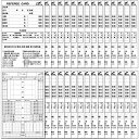 【送料無料】【まとめ買いがお得!】FINTA(フィンタ) 日本製 サッカー 試合記録用ユニセックス レフェリー用紙(30枚入り) FT5988【定番】
