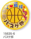 【よりどり20個で送料無料】部活カンバッジコレクション缶バッジバスケ部15635-6【卒業】【定番】●●