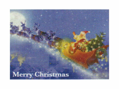 【ギフトに最適】Christmas グリーティングカードXGC-100506