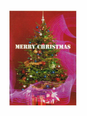 【ギフトに最適】Christmas グリーティングカードXGC-100507