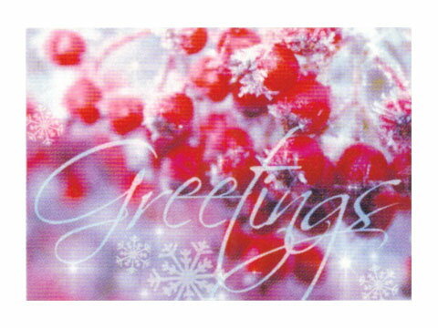 【ギフトに最適】Christmas グリーティングカードXGC-100504