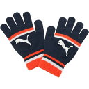 【送料無料】【廃番追】【Sサイズのみ】 puma(プーマ) スポーツアクセサリー 手袋 メンズ キャットロゴマジックグローブ ピーコートハイリスクレッド 041...