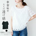 【残り僅か!人気商品】花柄 総レース ブラウス レディース 半袖 トップス レース シャツ 透け感 シースルー フラワー 上品 大人可愛い 仕事 オフィス 2025春夏 S/M/L 【lgww-at3811】【即納:1-5営業日】【送料無料】ユ込2