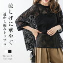 【60%OFFクーポン対象】トップス 透かし編み サマーニット 5分袖 クルーネック ゆったり 重ね着 キレイめ 大人カジュアル レディース おしゃれ フリーサイズ メール便 2025秋冬新作【lstpss24-414】【即納:1-5営業日】【送料無料】ユ込3