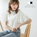 【半額クーポン対象】ブラウス トップス カットワークレース フレアスリーブ バンドカラー 大人かわいい ナチュラル 華奢見せ レディース フリーサイズ メール便 2025春夏新作【lstpss24-287】【即納:1-5営業日】【送料無料】ユ込2