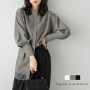 【25AW×半額クーポン】オーガンジー レイヤードブラウス バンドカラー カフス ふんわりスリーブ 華奢見せ キレイめ レディース おすすめ おしゃれ フリーサイズ メール便 2025秋冬新作【lstpss25-907】【即納:1-5営業日】【送料無料】ユ込2