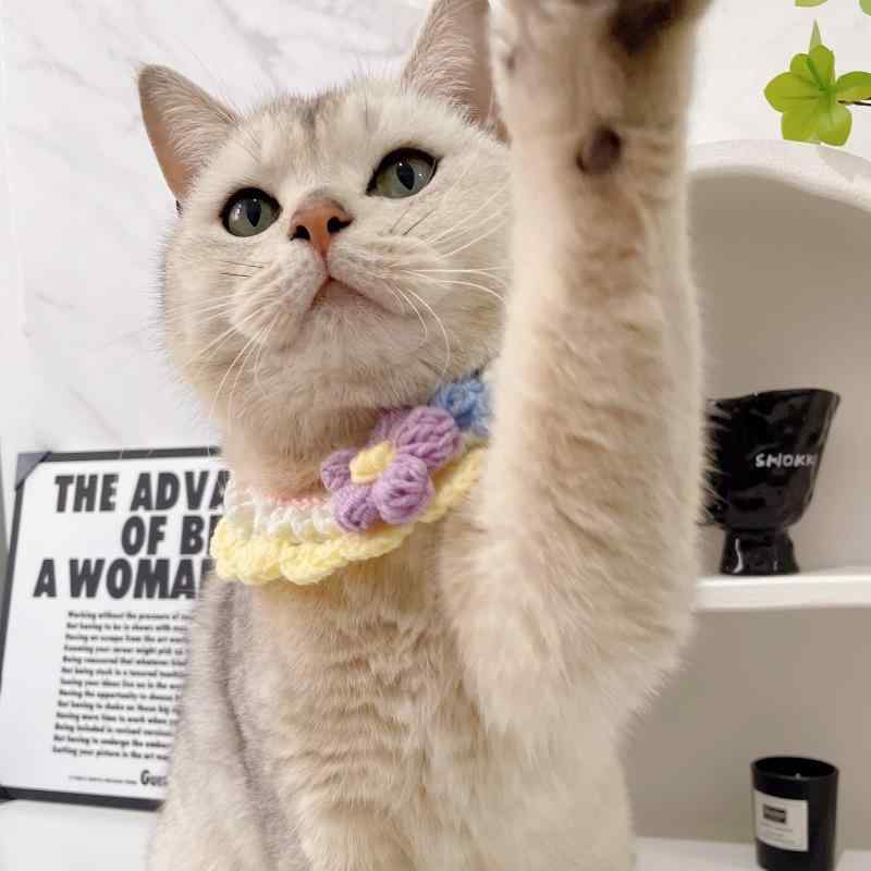 ・柄: 花柄・カラー展開: グリーン、イエロー、ブルー・主な素材: ポリエステル・対象: 猫・犬兼用・サイズ展開: S（1.5-4kg）、M（4-7.5kg）・編み方: 手編みみみ・加工方法: 刺繍・適用祝日: クリスマス・カテゴリ: スタイ・よだれかけ・スタイル: インスタ風