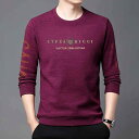 トレーナー 父の日 ギフト メンズ Tシャツ スウェットシャツ 春秋 長袖 ゆったり カジュアル レジャー アウトドア 休日 タウンユース デイリーユース