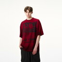 Tシャツ トップス プリント 半袖 ダメージ加工 ユニセックス ゆったり スポーティ カジュアル デイリー レジャー リゾート 休日 メンズ レディース