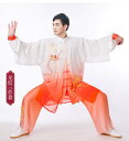 太極拳ウェア カンフーウェア 武術 体操 スポーツ トレーニングウェア 冬用 中国 太極拳 練習 競技 パフォーマンス エレガント メンズ レディース