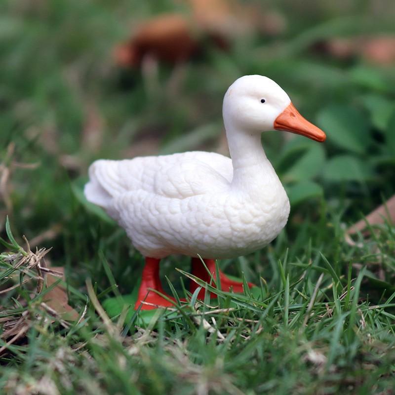 鴨 鳥 フィギュア 人形 ホビー おもちゃ 模型 シミュレーション 動物 リアル コレクション ディスプレイ ミニチュア 子供 教育 装飾品 プレゼント 学習