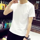 メンズ 半袖 Tシャツ ボディシャツ 冷感 スリップ 素材 ネット 洋服 綿 モーダル ラウンドネック 夏 薄手 スリムフィット レジャー 無地 男性