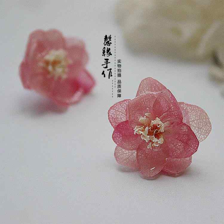 ԥ ǥ ꡼ ʱ  ǡ ԥ ֤Ӥ ԥ 䡼å եå  ե