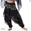 ベリーダンス 衣装 パンツ エキゾチック エスニック ステージ インドダンス パフォーマンス セクシー ゴージャス 華やか