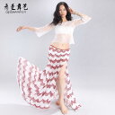 ダンス ベリーダンス 練習着 パフォーマンス セット 魅惑的 まつげ レース ドレス 大きめ サイズ 女性 トップス スカート ヒップ スカーフ チャイナドレス...